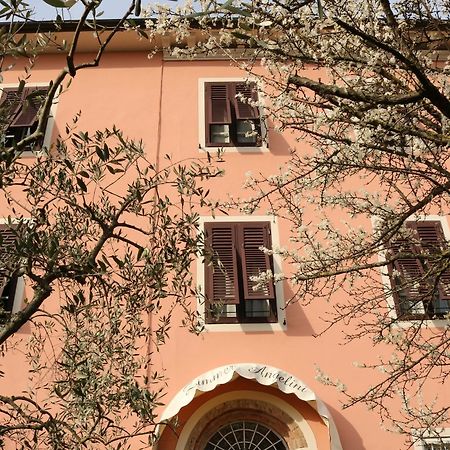 Angelini Dal 1911 Otel Lucca Dış mekan fotoğraf